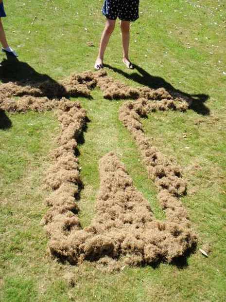 The shape of a person outlined with grass