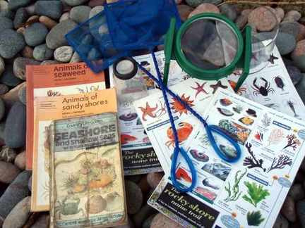 Some small nets, identification sheets and magnifiers