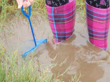 Girl in colourful wellies in a pool fishing with a net