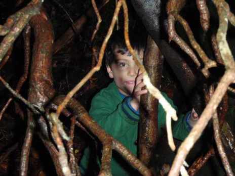 Young boy playing in his den