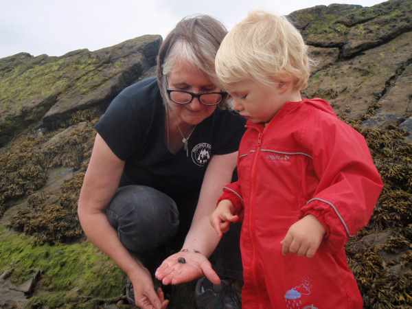 Rockpooling - Enjoy an afternoon at the seashore, check out the rockpools and strandline to find crabs, shells and life at the seashore.