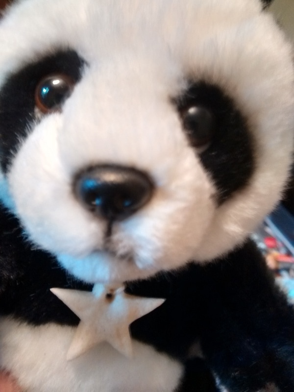 Slfie of Star Panda with her new necklace #Passthe Panda