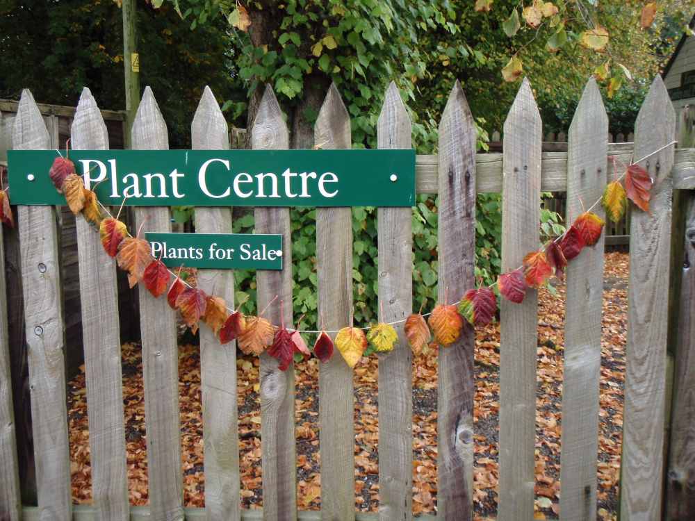 There are so many different things the Ranger can help you create from leaves like this Autumn leaf bunting