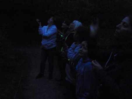 Dark Sky Rangers love being out after dark looking and listening for wildlife as well as stargazing